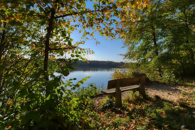 罗体：罗马询问赛义德-马拉，但优先目标仍是齐尔克泽